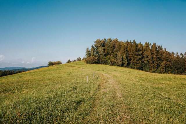 Дома для отпуска Pasieka - Dom Wypoczynkowy Bącza-36